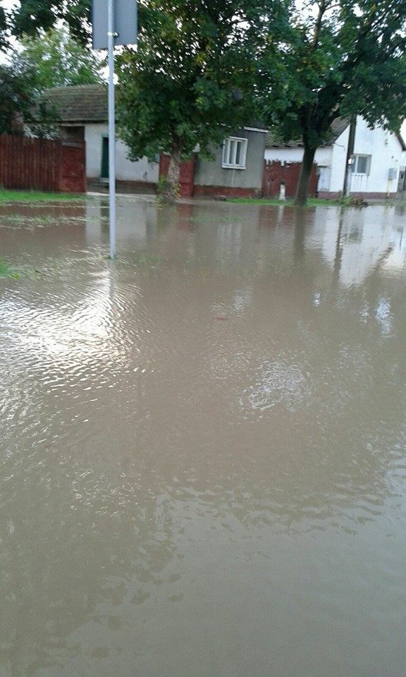 pancota inundatii 1