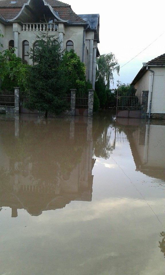 pancota inundatii 4