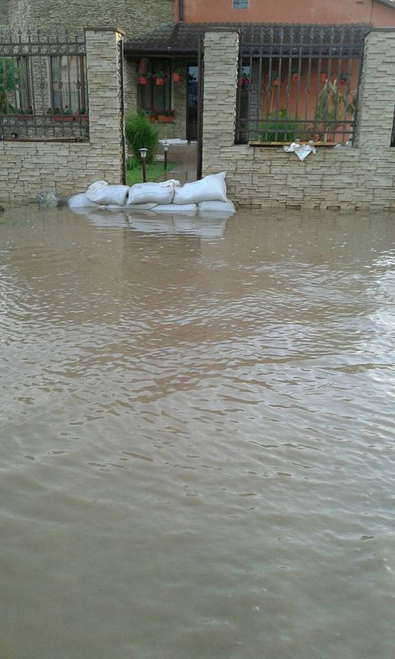 pancota inundatii 5