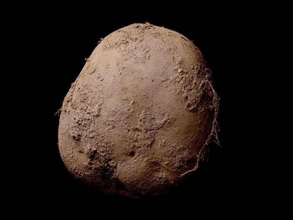 irish potato